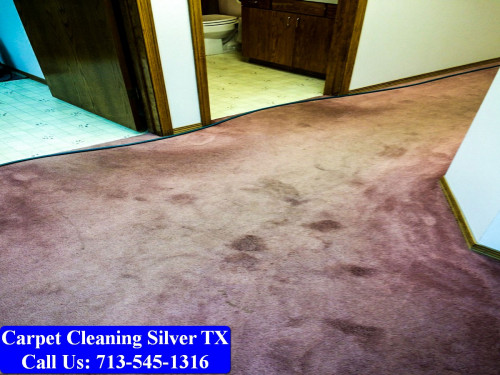 Carpet-Cleaning-Silver-tx-019.jpg