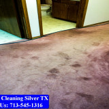 Carpet-Cleaning-Silver-tx-019