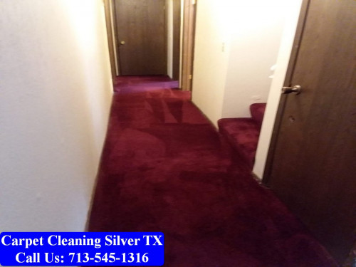 Carpet-Cleaning-Silver-tx-020.jpg