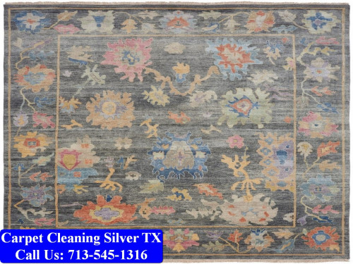 Carpet-Cleaning-Silver-tx-021.jpg