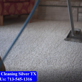 Carpet-Cleaning-Silver-tx-022