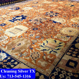 Carpet-Cleaning-Silver-tx-027