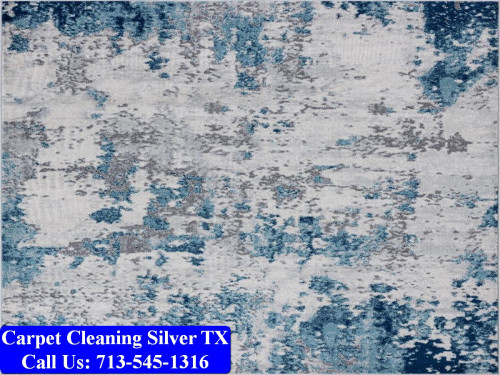 Carpet-Cleaning-Silver-tx-028.jpg