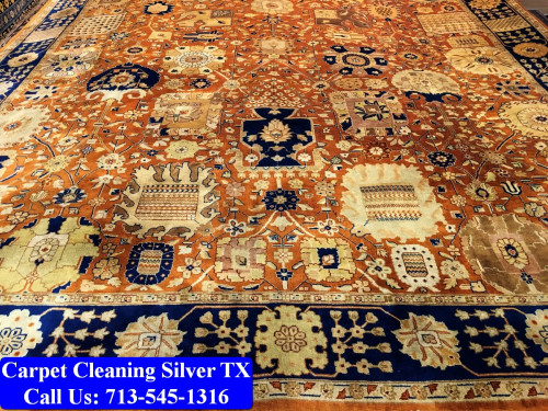 Carpet-Cleaning-Silver-tx-029.jpg