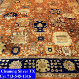 Carpet-Cleaning-Silver-tx-029