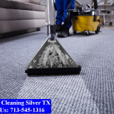 Carpet-Cleaning-Silver-tx-030