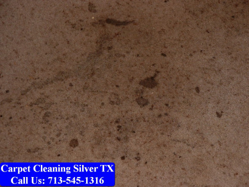Carpet-Cleaning-Silver-tx-032.jpg