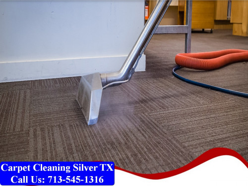 Carpet-Cleaning-Silver-tx-036.jpg
