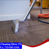 Carpet-Cleaning-Silver-tx-036