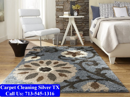 Carpet-Cleaning-Silver-tx-037.jpg