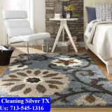 Carpet-Cleaning-Silver-tx-037