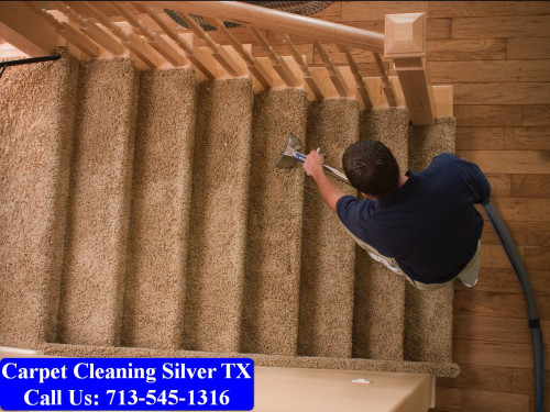 Carpet-Cleaning-Silver-tx-039.jpg