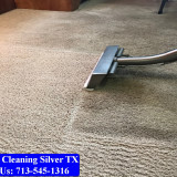 Carpet-Cleaning-Silver-tx-047