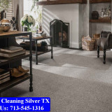 Carpet-Cleaning-Silver-tx-048