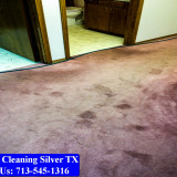 Carpet-Cleaning-Silver-tx-050