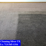 Carpet-Cleaning-Silver-tx-053