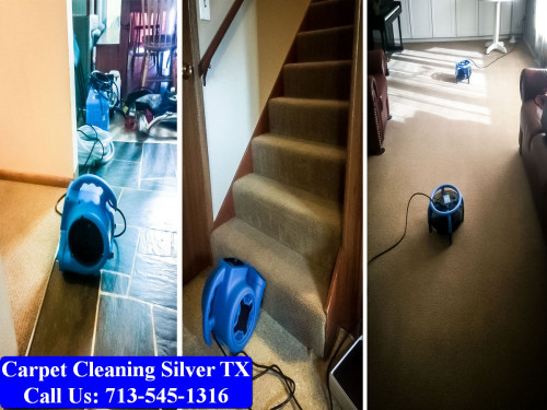 Carpet-Cleaning-Silver-tx-054.jpg