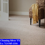 Carpet-Cleaning-Silver-tx-055