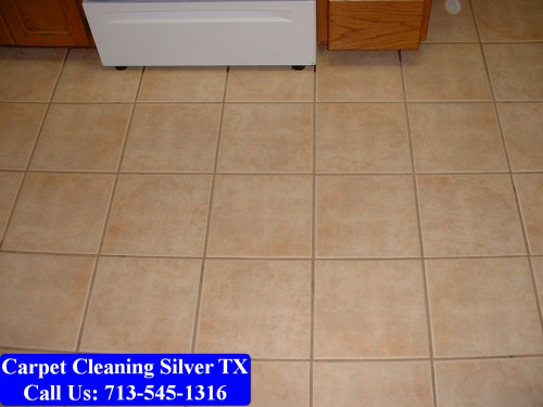 Carpet-Cleaning-Silver-tx-062.jpg