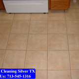 Carpet-Cleaning-Silver-tx-062