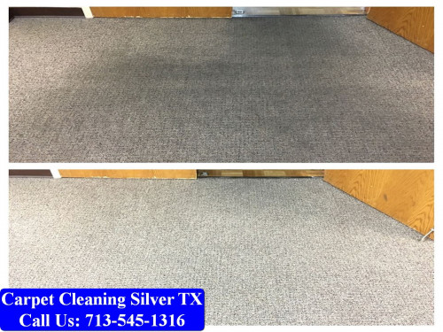 Carpet-Cleaning-Silver-tx-072.jpg
