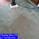 Carpet-Cleaning-Silver-tx-073