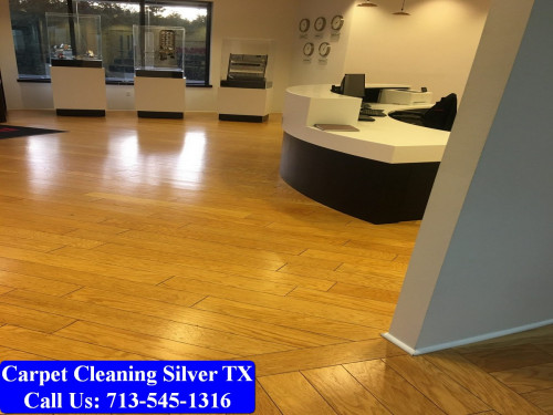 Carpet-Cleaning-Silver-tx-075.jpg