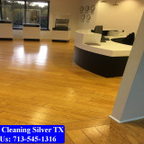 Carpet-Cleaning-Silver-tx-075