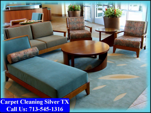 Carpet-Cleaning-Silver-tx-076.jpg