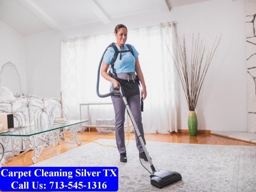 Carpet-Cleaning-Silver-tx-077.jpg