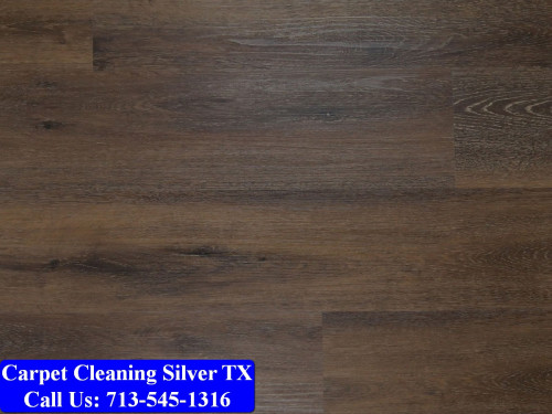 Carpet-Cleaning-Silver-tx-079.jpg
