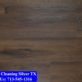 Carpet-Cleaning-Silver-tx-079