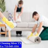 Carpet-Cleaning-Silver-tx-081