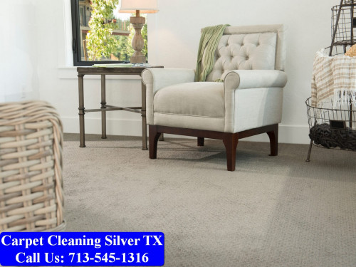 Carpet-Cleaning-Silver-tx-083.jpg