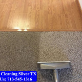 Carpet-Cleaning-Silver-tx-086