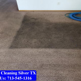 Carpet-Cleaning-Silver-tx-095