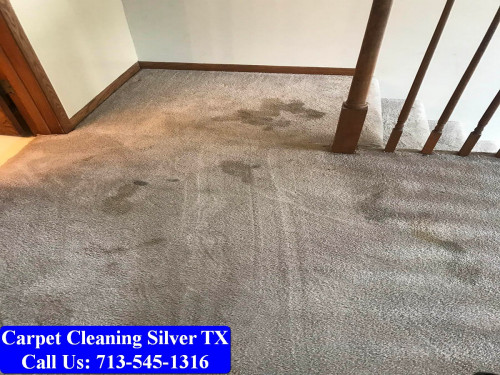 Carpet-Cleaning-Silver-tx-097.jpg
