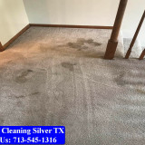 Carpet-Cleaning-Silver-tx-097