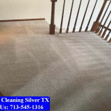 Carpet-Cleaning-Silver-tx-098