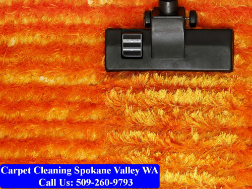 Carpet-Cleaning-Spokane-009.jpg