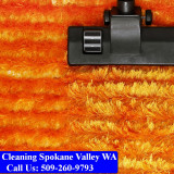 Carpet-Cleaning-Spokane-009