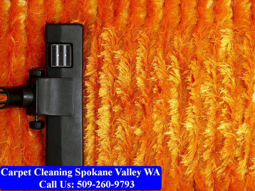 Carpet-Cleaning-Spokane-010.jpg