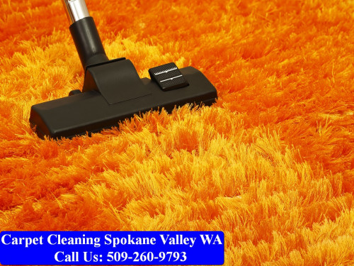 Carpet-Cleaning-Spokane-011.jpg