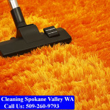 Carpet-Cleaning-Spokane-011