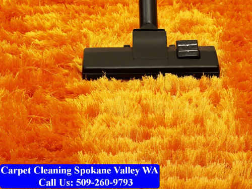 Carpet-Cleaning-Spokane-012.jpg