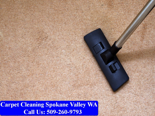 Carpet-Cleaning-Spokane-018.jpg