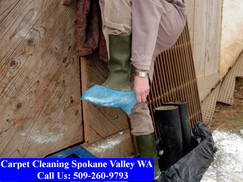 Carpet-Cleaning-Spokane-029.jpg