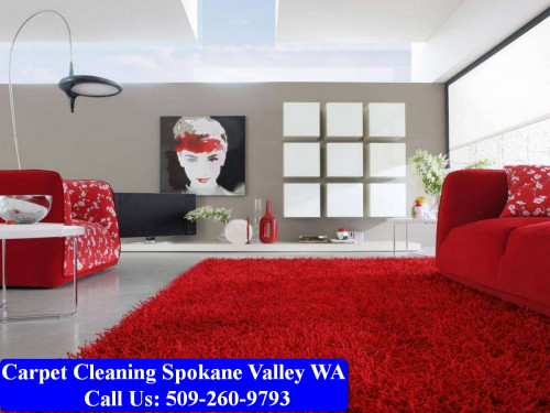 Carpet-Cleaning-Spokane-034.jpg