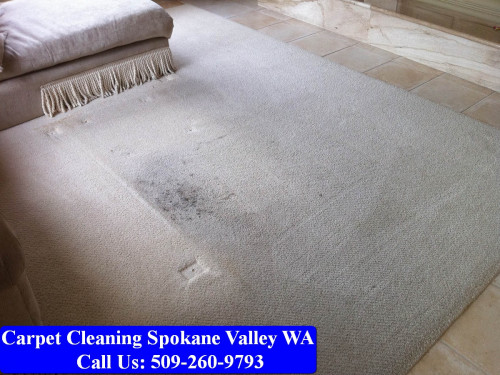 Carpet-Cleaning-Spokane-035.jpg