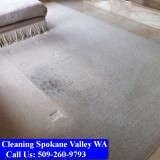 Carpet-Cleaning-Spokane-035